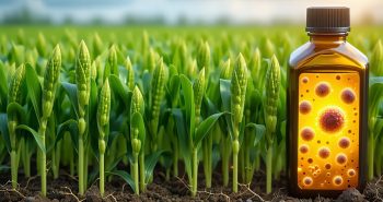 roundup cancer types